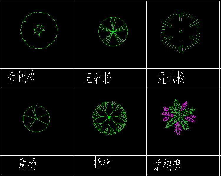 植物2