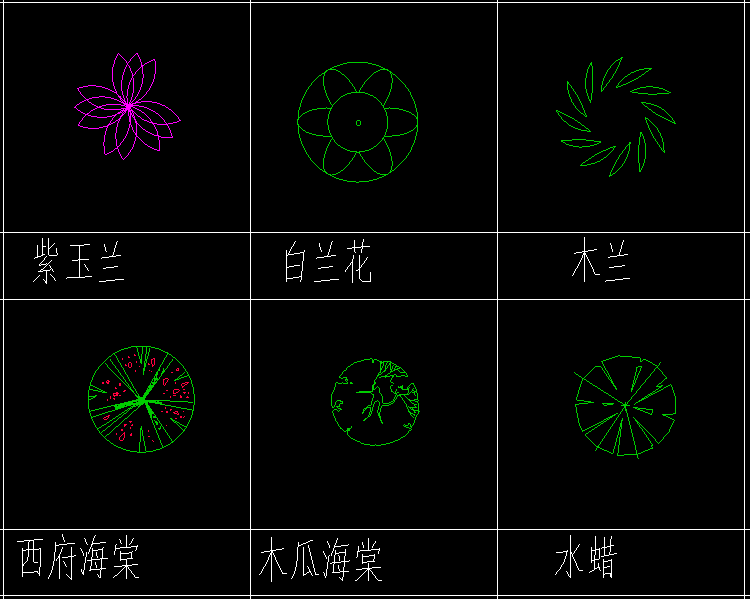 植物3