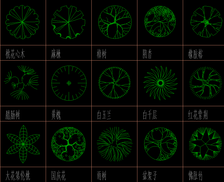 植物5