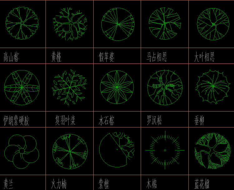 植物6