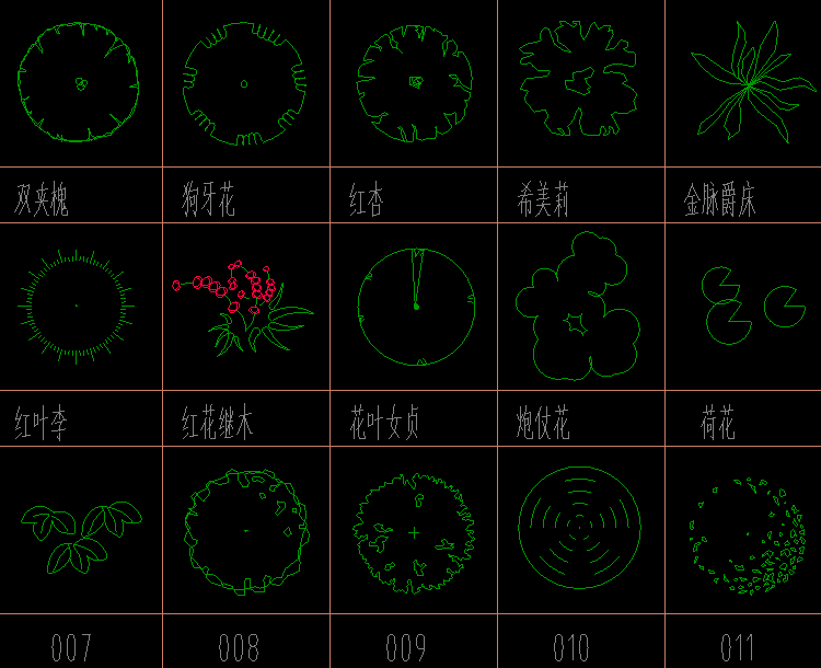 植物8