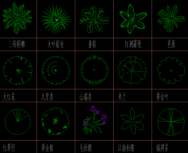 花卉一朵平面图图片