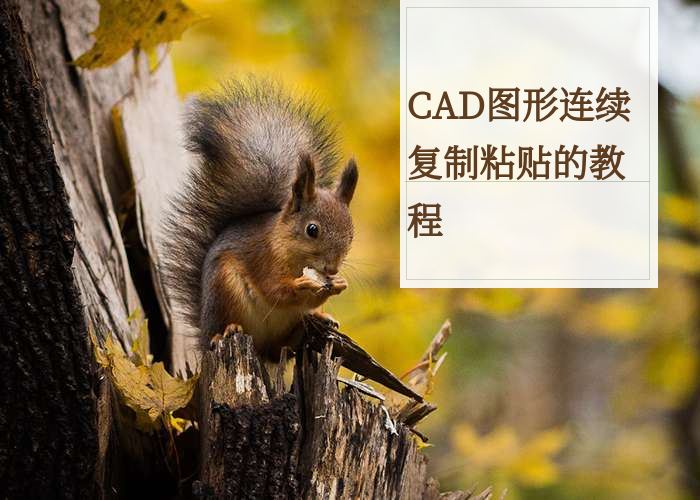 CAD图形连续复制粘贴的教程