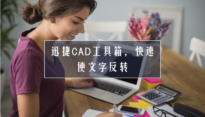 迅捷CAD工具箱，快速使文字反转