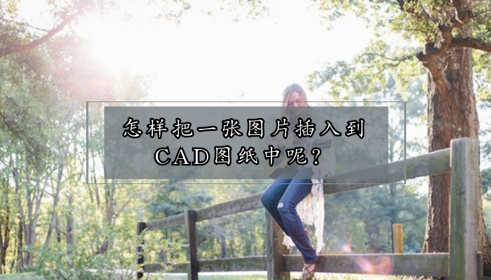 怎样把一张图片插入到CAD图纸中呢？