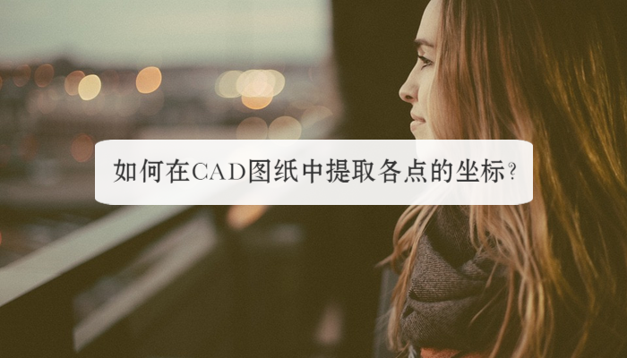 如何在CAD图纸中提取各点的坐标？