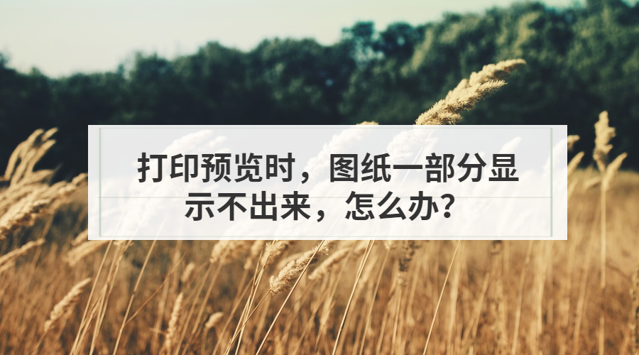 打印预览时，图纸一部分显示不出来，怎么办？