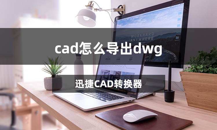 cad怎么导出dwg