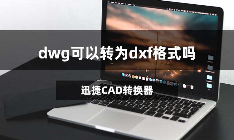 dwg可以转为dxf格式吗